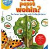 Spielzeug Ravensburger | Ravensburger Was Passt Wohin?