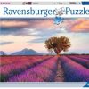 Spielzeug Ravensburger | Ravensburger Puzzle Lavendelfeld 1000T