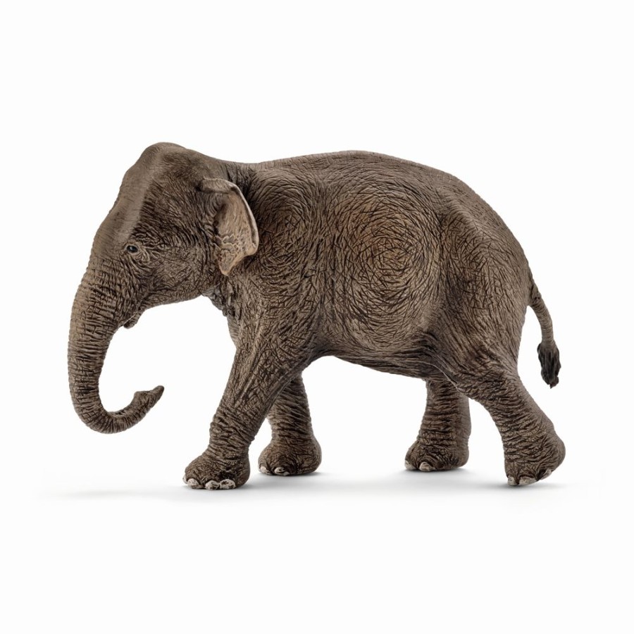 Spielzeug Schleich | Schleich 14753 Asiatische Elefantenkuh