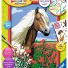 Spielzeug Ravensburger | Ravensburger Malen Nach Zahlen Haflinger